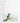 Artworld Wall Art Lesser Double-Collared Sunbird 499