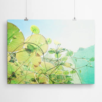 Artworld Wall Art Lily Pad Canvas Wall Art 50