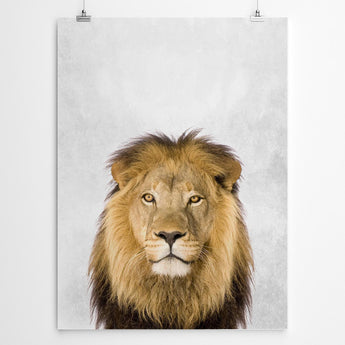 Artworld Wall Art Lion Art Print 502