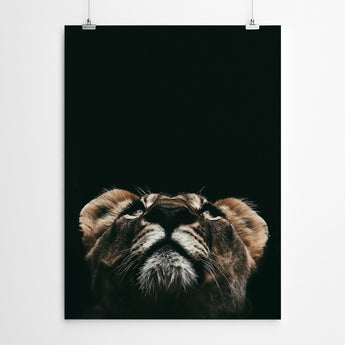 Artworld Wall Art Lioness Wall Art Canvas Print