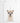 Artworld Wall Art Llamacorn Print 509