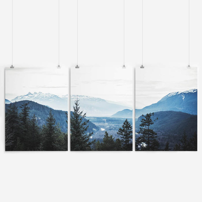 Misty Forest Art