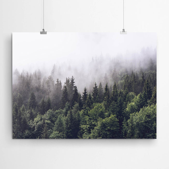 Misty Forest Art Canvas Print