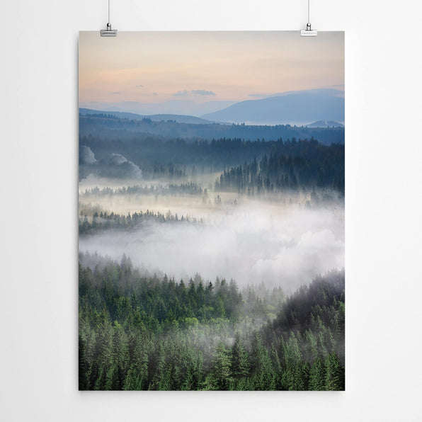 Artworld Wall Art Misty Forest Wall Art 538