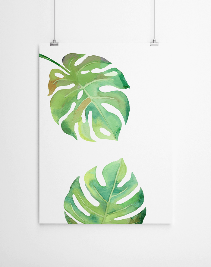 Monstera Leaf