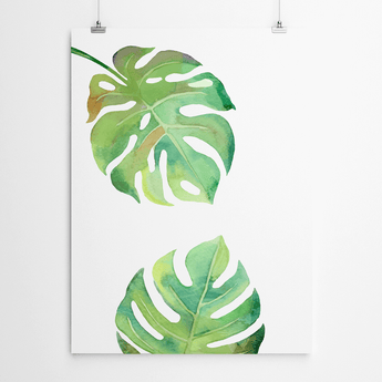 Artworld Wall Art Monstera Leaf 544