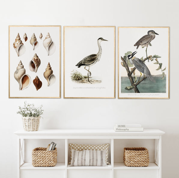 Artworld Wall Art Nature Illustration