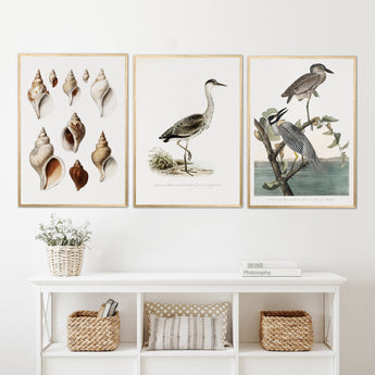 Artworld Wall Art Nature Illustration