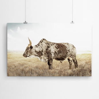 Artworld Wall Art Nguni Bull Wall Art Print 586