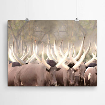 Artworld Wall Art Nguni Cattle Cow African Artwork
