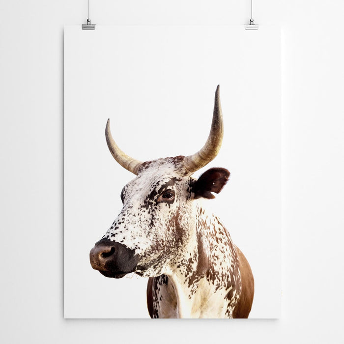 Nguni Cow Wall Art