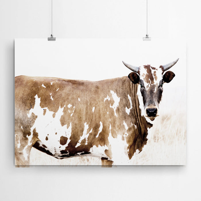 Nguni Wall Art