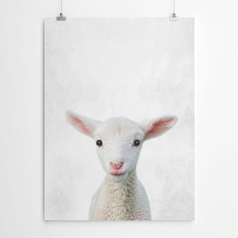 Artworld Wall Art Nursery Goat Art 599