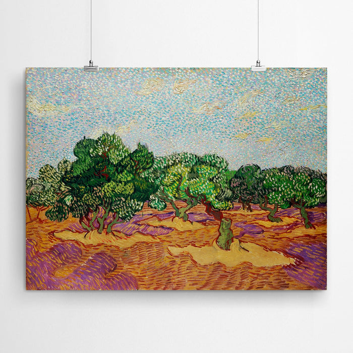 Olive Trees - Vincent Van Gogh Fine Art Prints