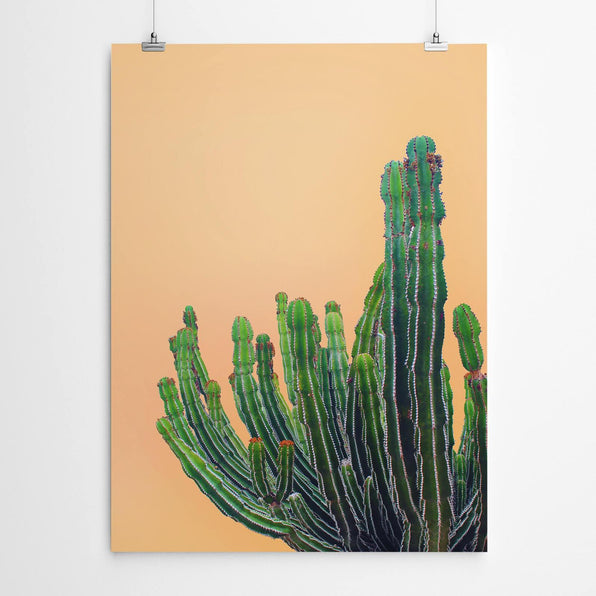 Artworld Wall Art Orange Cactus Art 68