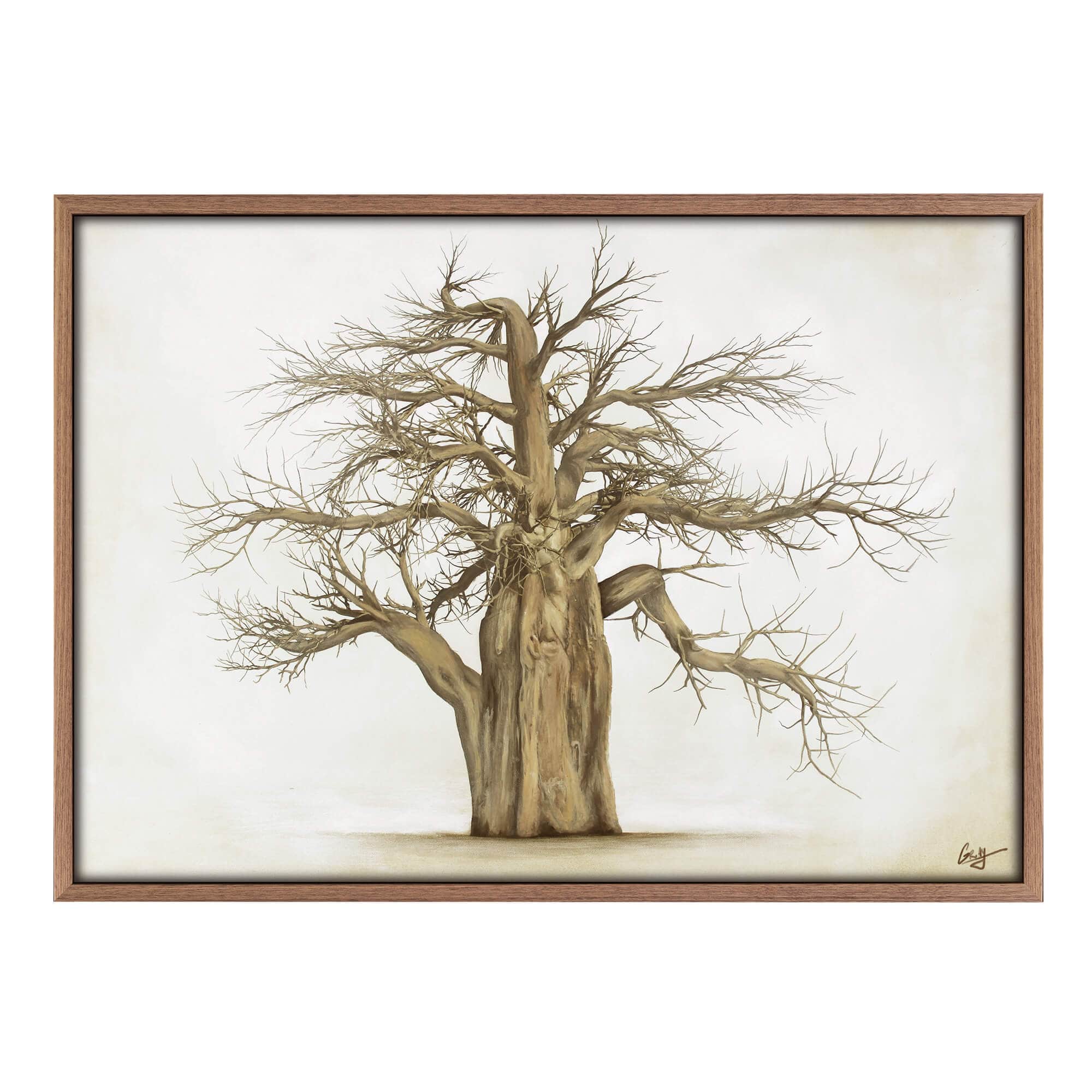 Baobab in Wilderness Prints – Artworld