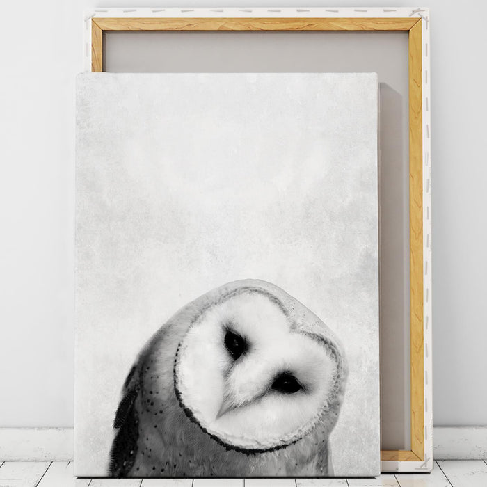 Owl Art Print