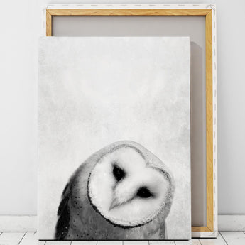 Artworld Wall Art Owl Art Print 62