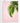 Artworld Wall Art Palm Art Print 627
