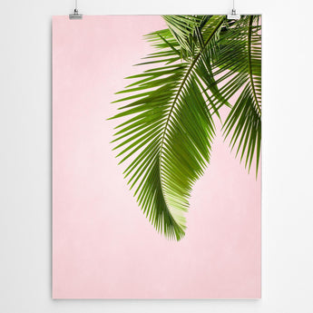 Artworld Wall Art Palm Art Print 627