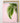 Artworld Wall Art Palm Art Print 627