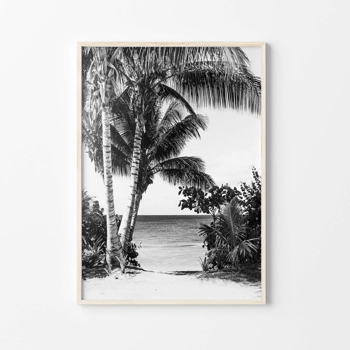 Palm Beach Art Print