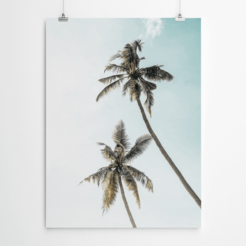 Artworld Wall Art Palm Canvas Print 625