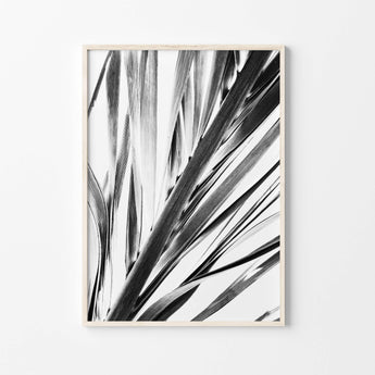 Artworld Wall Art Palm Leaf Wall Art Black And White