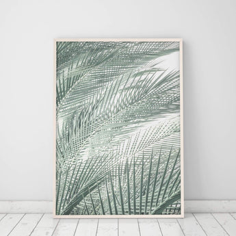 Artworld Wall Art Palm Leaves Photography 63