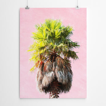 Artworld Wall Art Palm Tree Art Print 633