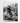 Artworld Wall Art Palm Tree Print 634