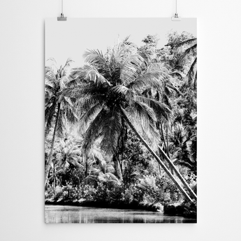 Artworld Wall Art Palm Tree Print 634