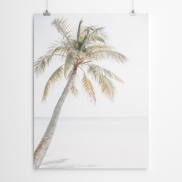 Palm Tree Tropical Beach Art