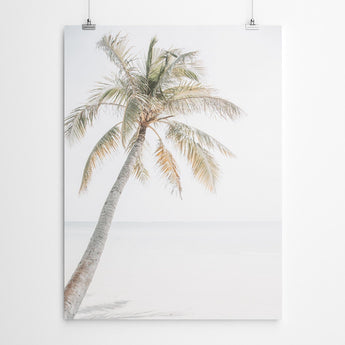 Artworld Wall Art Palm Tree Tropical Beach Art 635