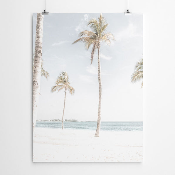 Artworld Wall Art Palm Tree Tropical Beach Print 636