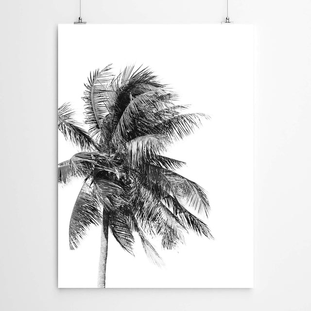 Palm Tree Wall Art Print Artworld