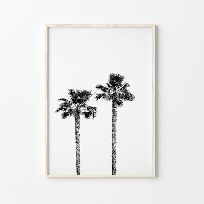 Palm Wall Art