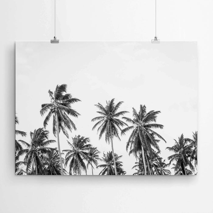 Palm Wall Art Black and White