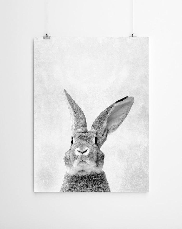 Peekaboo Rabbit Print