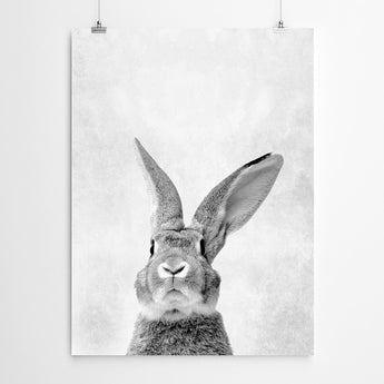 Artworld Wall Art Peekaboo Rabbit Print 659