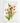 Artworld Wall Art Phaius Vintage Orchid Print 66