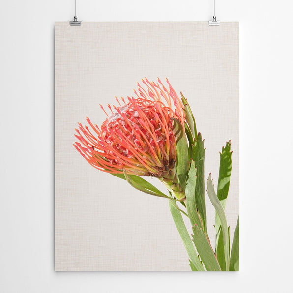 Artworld Wall Art Pincushion Art Print 669
