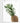 Artworld Wall Art Pineapple Art Print 67