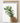 Artworld Wall Art Pineapple Art Print 67
