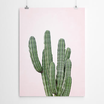 Artworld Wall Art Pink Cactus Art 685