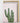 Artworld Wall Art Pink Cactus Art 685