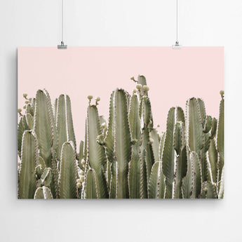 Artworld Wall Art Pink Cactus Art Print 686