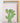 Artworld Wall Art Pink Cactus Print 687