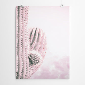 Artworld Wall Art Pink Cloud Cactus Art Prints 688