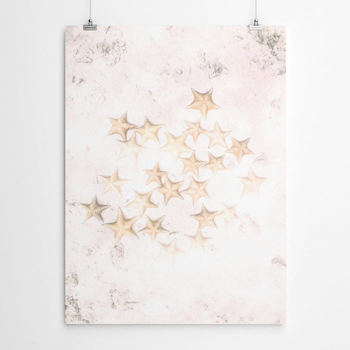 Pink Starfish Art Print